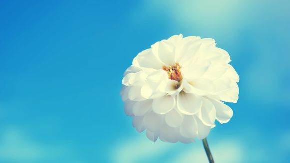 分区隐藏了怎么恢复