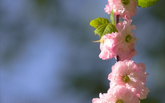 什么是阳光锁屏