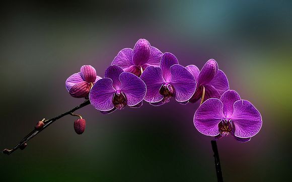 OPPO手机如何截闪照