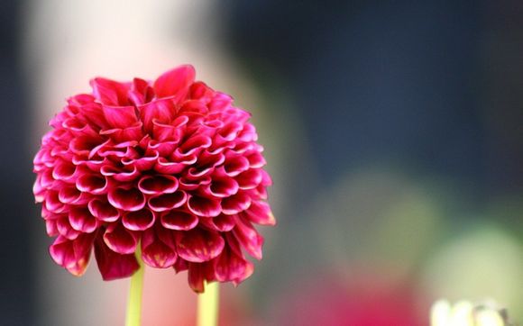dv什么牌子好