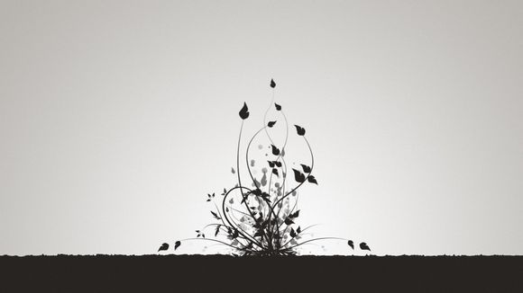 cpe哪个网速好